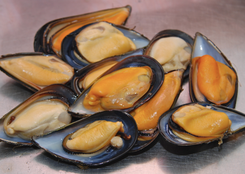 Mejillones